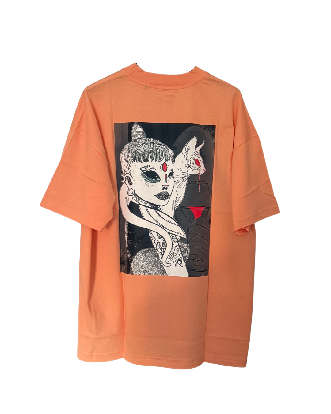 Stegle T-shirt Regular Fit Orange