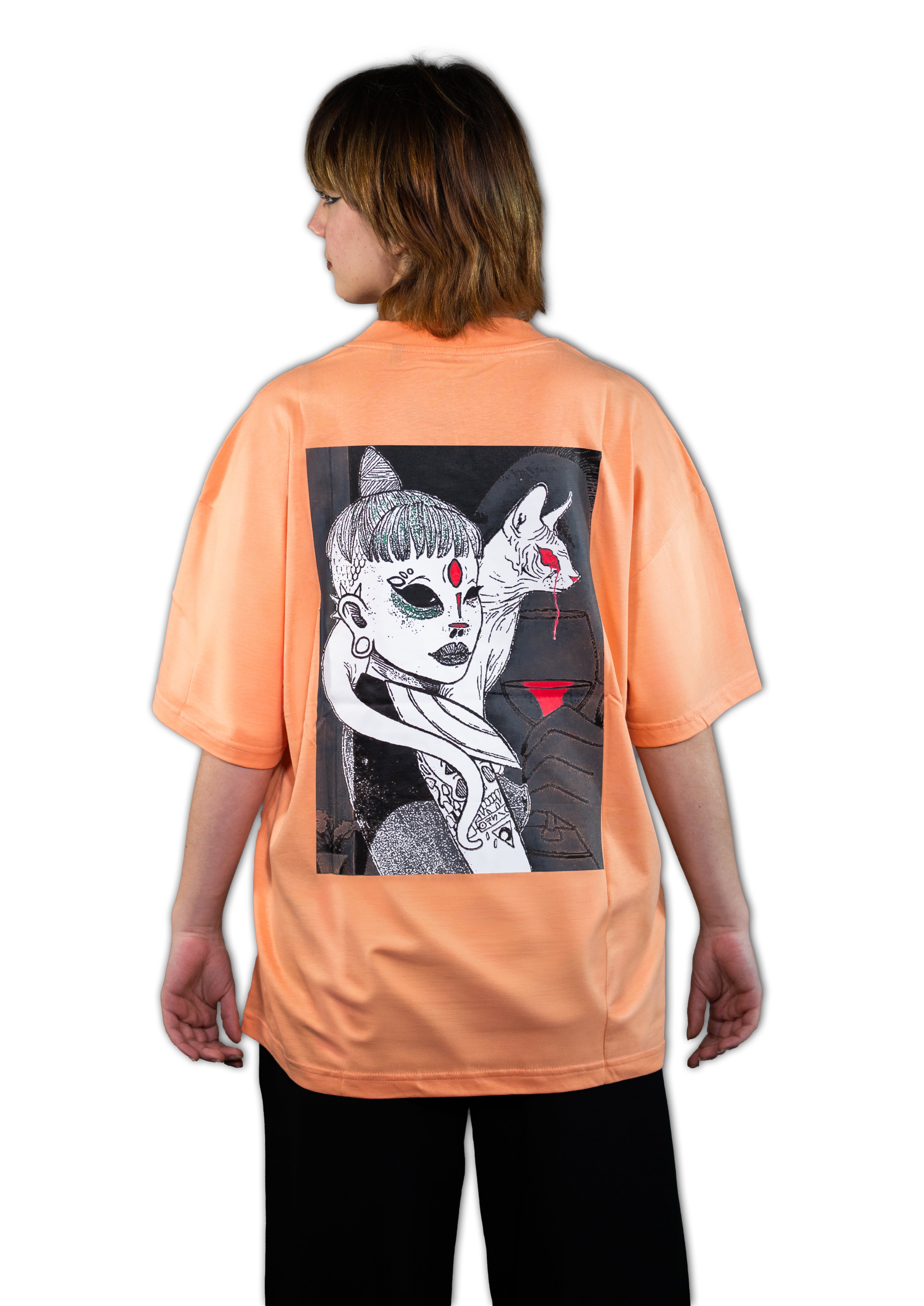 Stegle T-shirt Regular Fit Orange